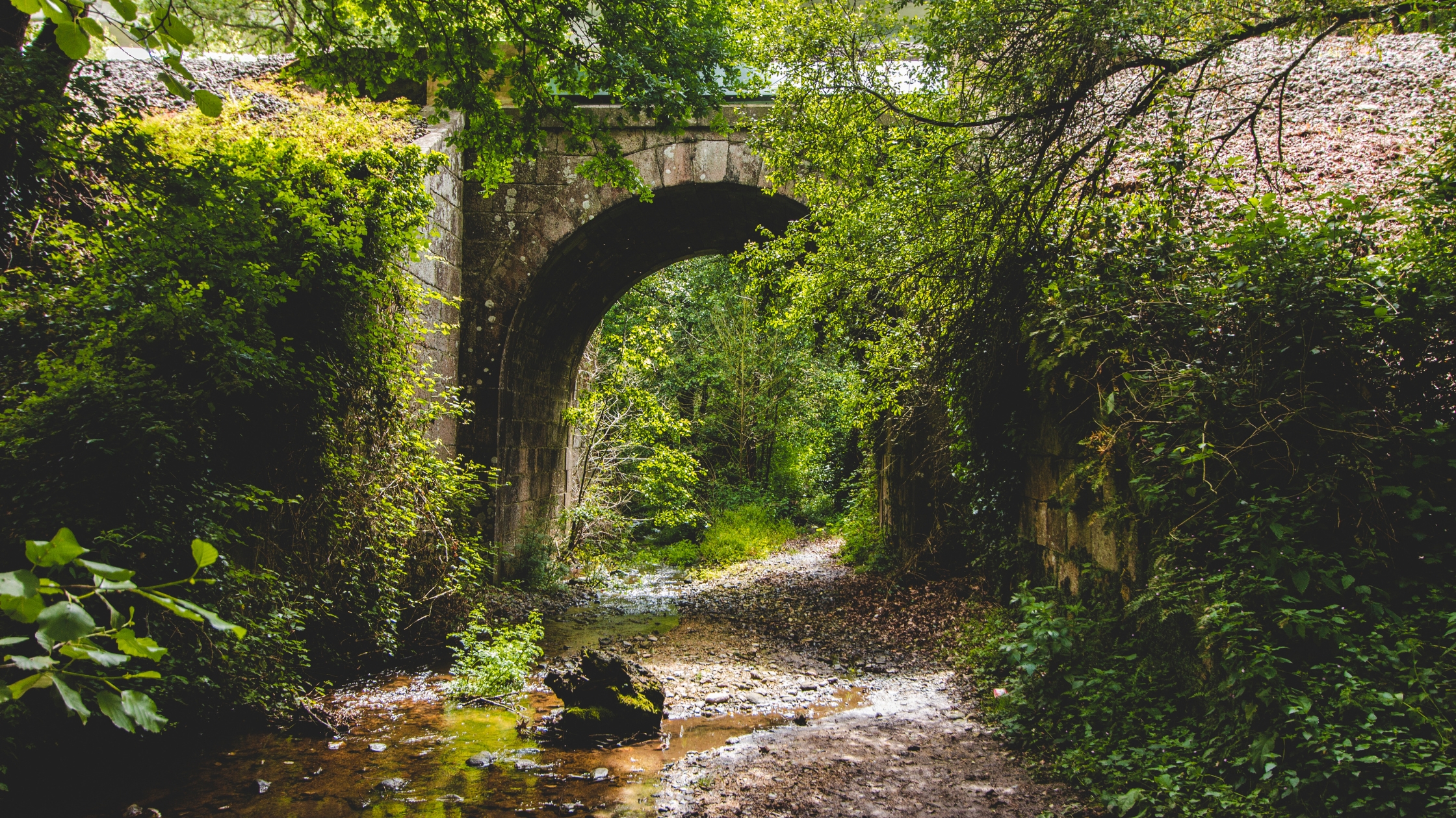 Ancient stone arch bridge overgrown with green foliage, Camino del Norte